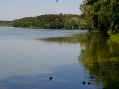 Baiersdorfer Weiher