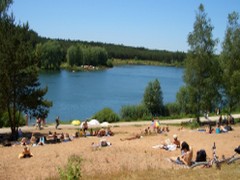 Birkensee