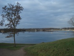 Mainparksee Mainparksee