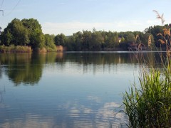 Mainparksee Mainparksee